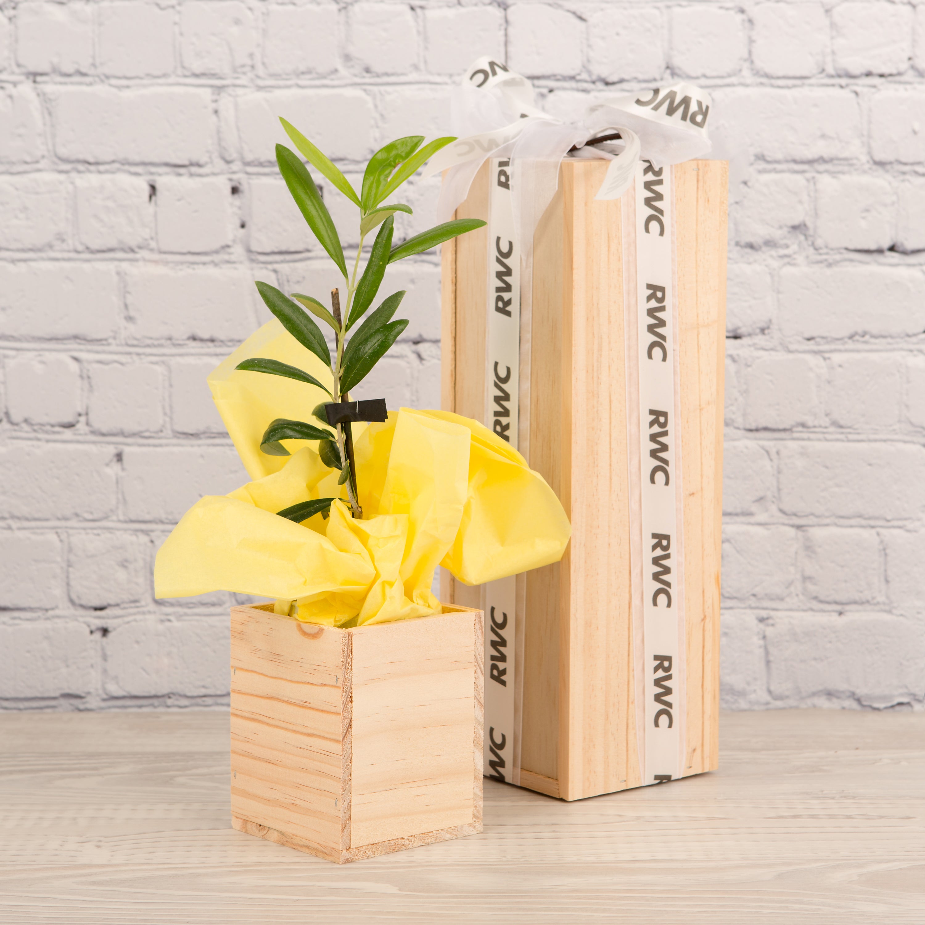 RWC branded gift box