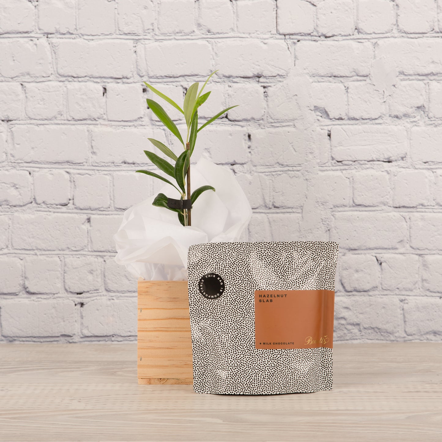 The Ray White Tree & Chocolate Gift